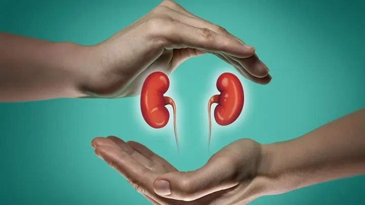 Best kidney Specialist in Mymensingh কিডনি বিশেষজ্ঞ ডাক্তার ময়মনসিংহ