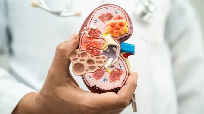 kidney Specialist in Bogra কিডনি বিশেষজ্ঞ ডাক্তার বগুড়া পপুলার